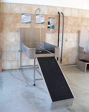 WWS Vehicle Wash Pet Wash 308x390 1